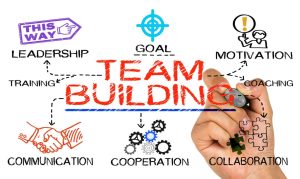 Training And Capacity Development